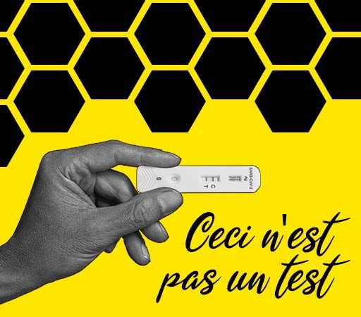 Article Varroa destructor - Test ruche - Produits-veto.com