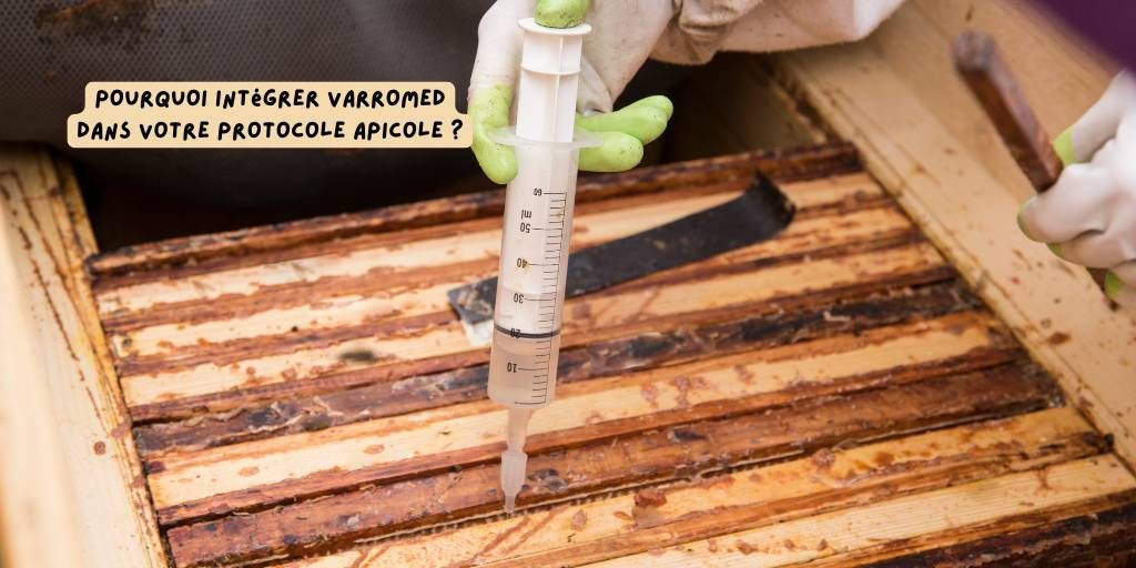 Abeilles_VarroMed_nov_2025_produits-veto