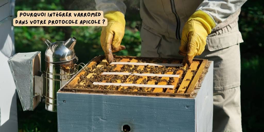VarroMed_fev_2026_produits-veto.com