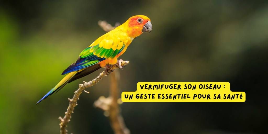 vermifuger_son_oiseau_article_produits-veto