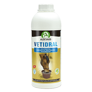 Vetidral - Electrolytes - Forte sudation - Cheval - 1 L - AUDEVARD