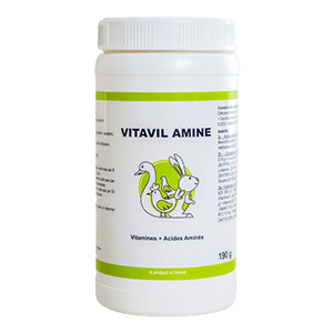 Vitavil Aminé - Vitamines + Acides aminés - BIOVÉ INOVET